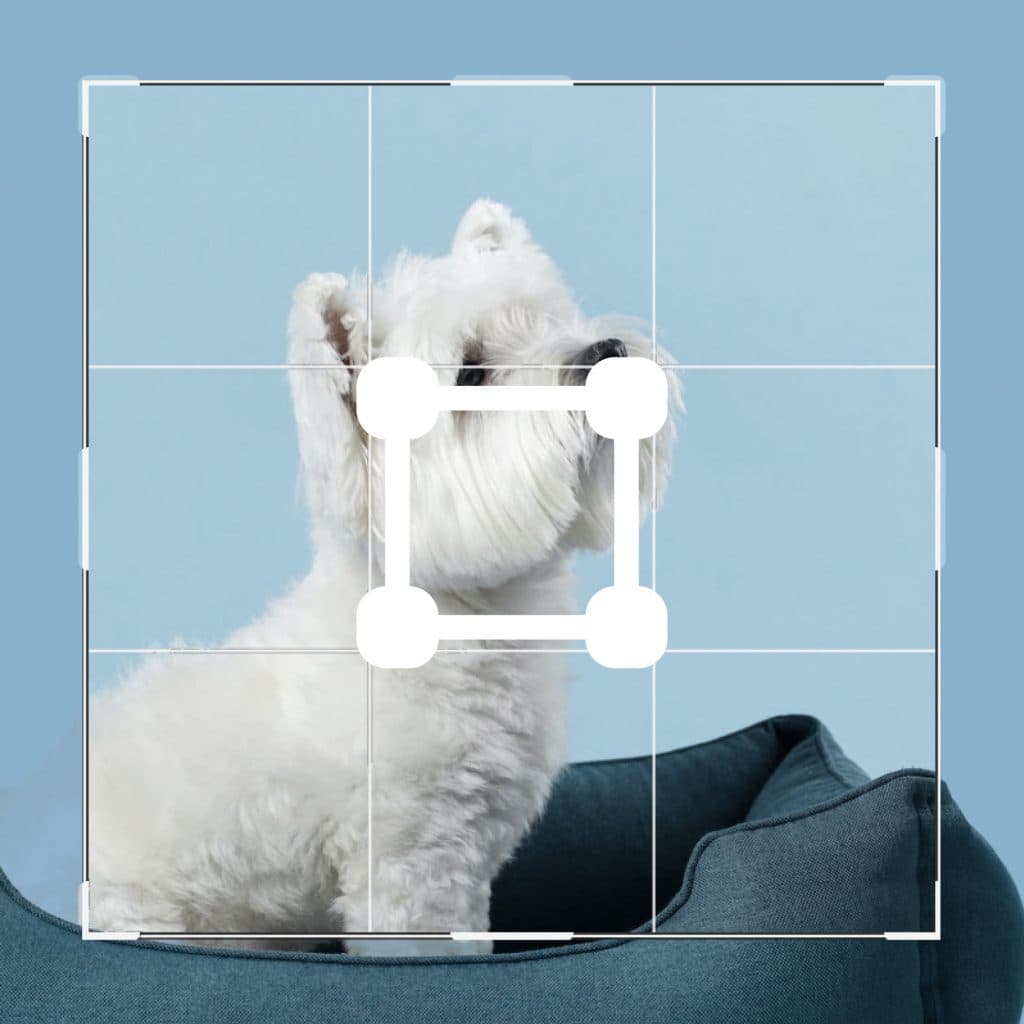 Crop, Resize & Rotate